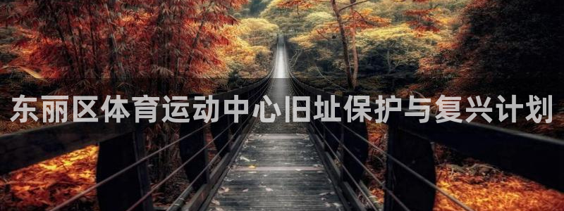178体育NBA：东丽区体育运动中心旧址保护与复兴计划