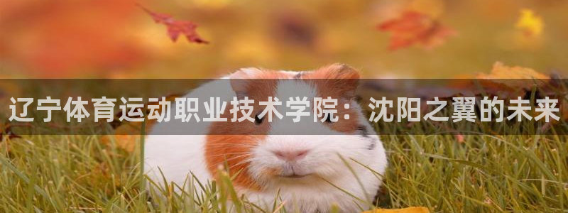 178体育app下载地址ios：辽宁体育运动职业技术学院：沈阳之翼的未来
