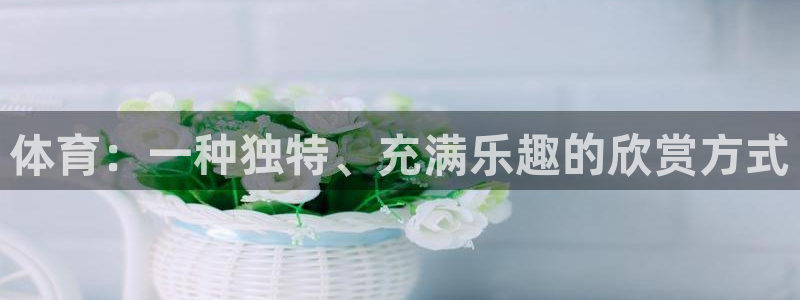 178体育篮球直播：体育：一种独特、充满乐趣的欣赏方式