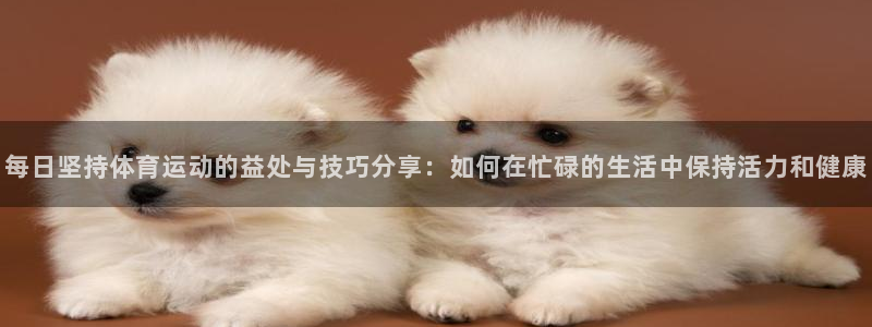 178体育app安卓版：每日坚持体育运动的益处与技巧分享：如何在忙碌的生活中保持活力和健康
