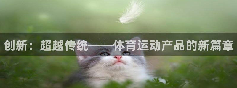 178体育人工客服电话：创新：超越传统——体育运动产品的新篇章