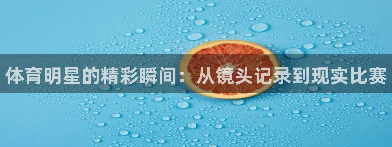178体育app官网下载入口：体育明星的精彩瞬间：从镜头记录到现实比赛