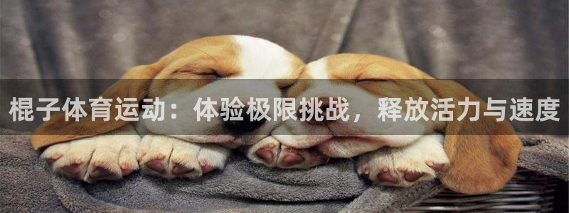 178体育平台正规吗：棍子体育运动：体验极限挑战，释放活力与速度