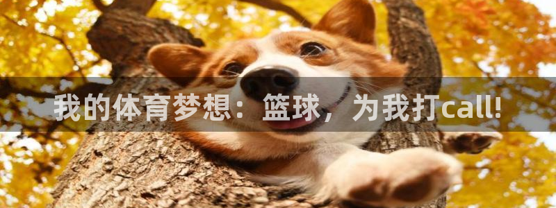 178体育一哥：我的体育梦想：篮球，为我打call!